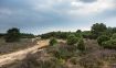Afbeelding van Scooterspeurtocht 'Om de Duinen'